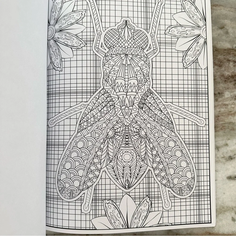 New Adult Coloring Book - Animals - Timeless Creations Creatures Of Beauty